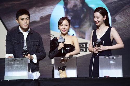 娱乐圈吃瓜博主合集,吃瓜博主合集大放送!